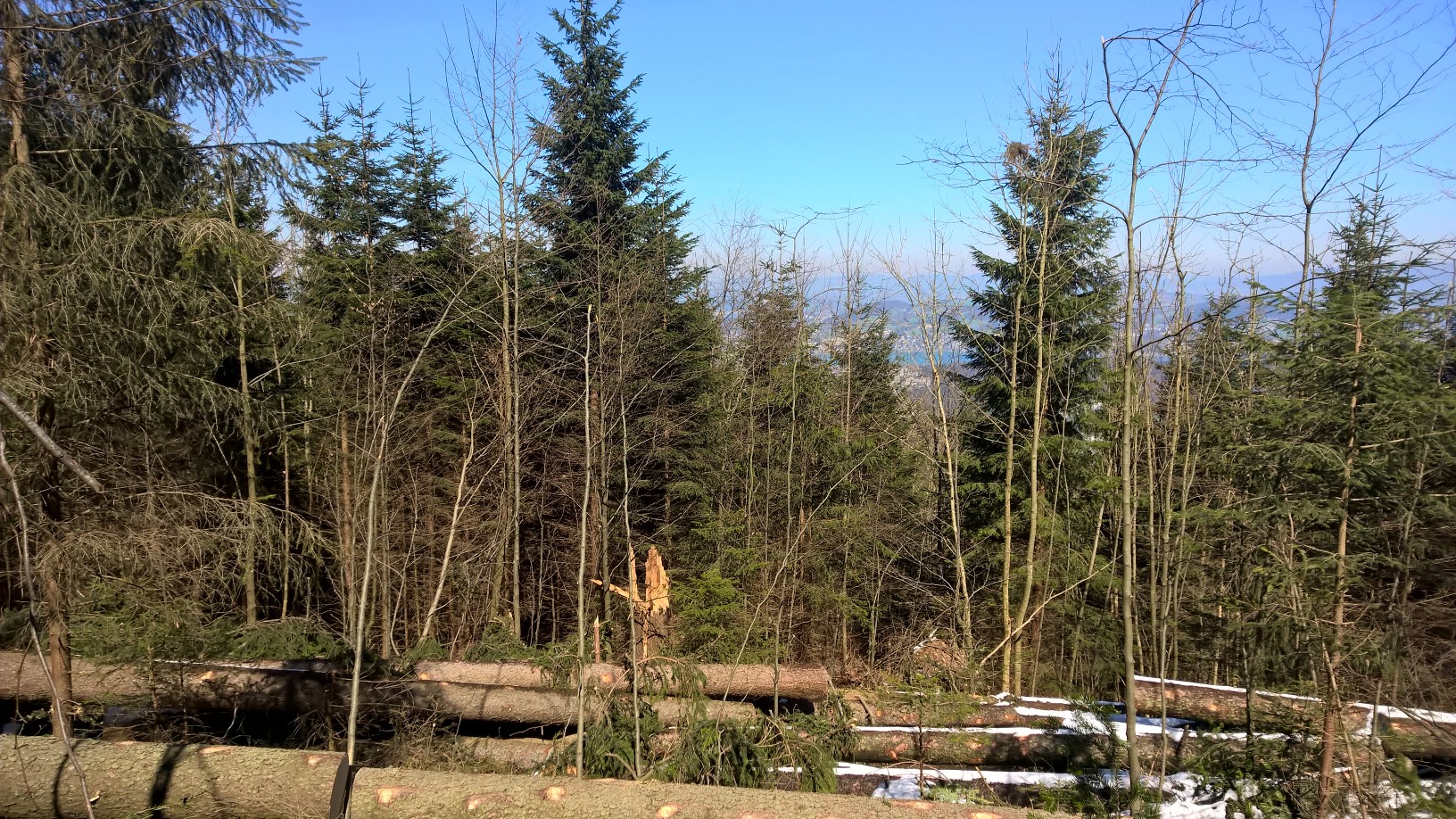 FSC-zertifiziert und regional verankert