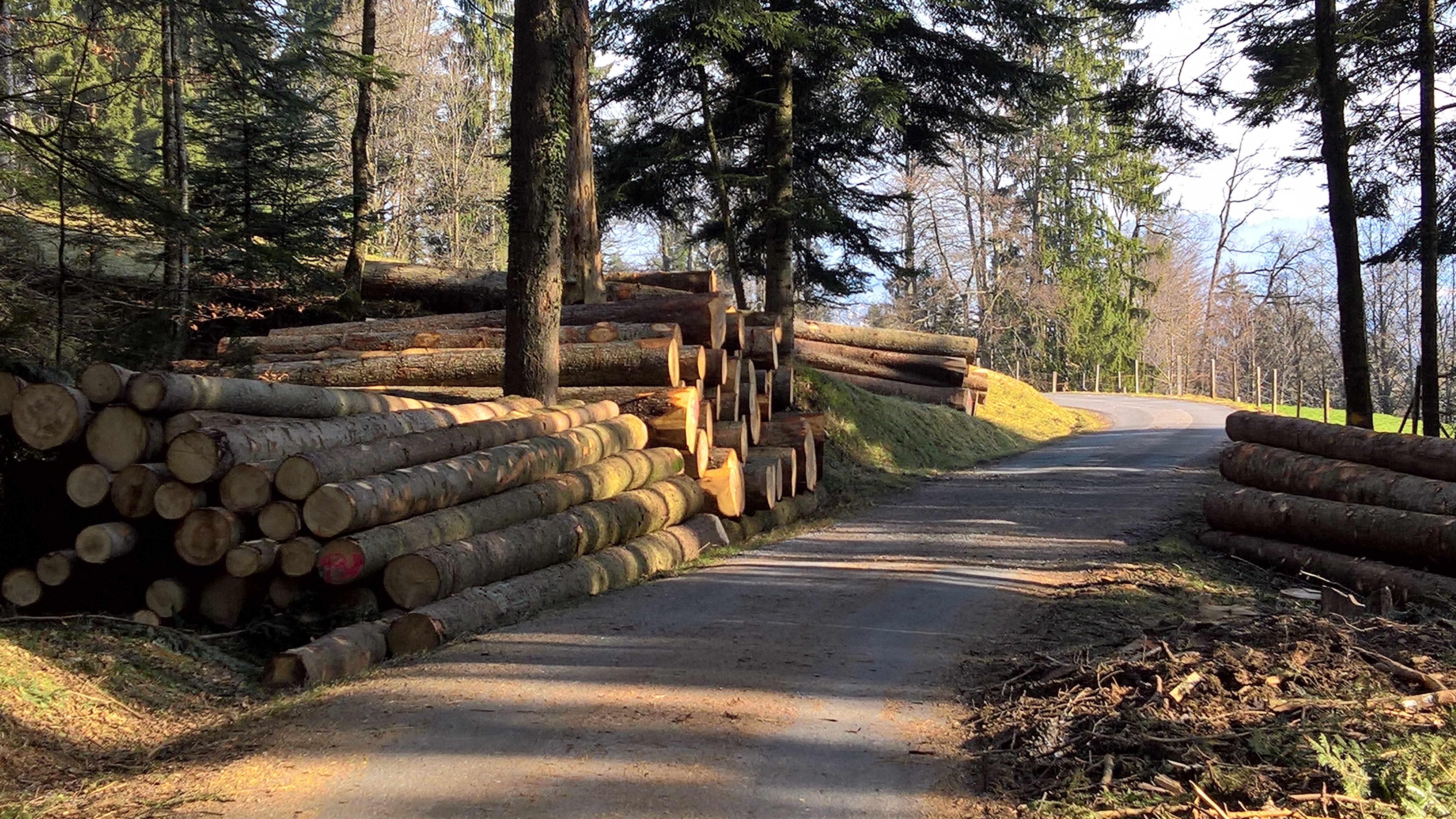 Nachhaltig gepflegt &ndash; f&uuml;r Mensch und Natur