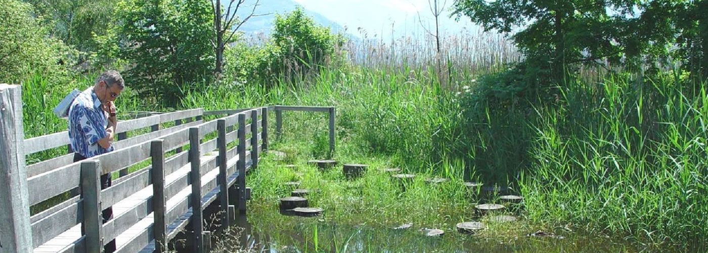 Neue Weiher für mehr Nachhaltigkeit