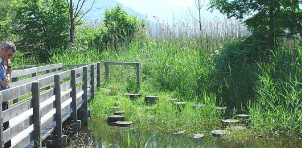 Neue Weiher f&uuml;r mehr Nachhaltigkeit